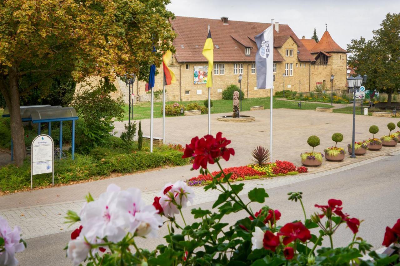 Pension Amthof 奥伯德尔丁根 外观 照片